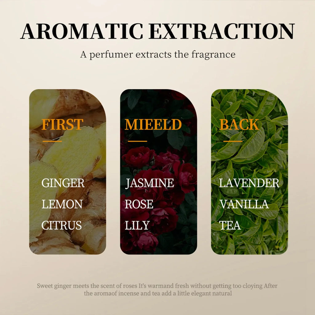 Natural Nourishing Body Oil Deep Moisturizing Brightening Hair Refreshing Body Face Smooth Firming Body Beauty Care 250ml - Vivid Mart